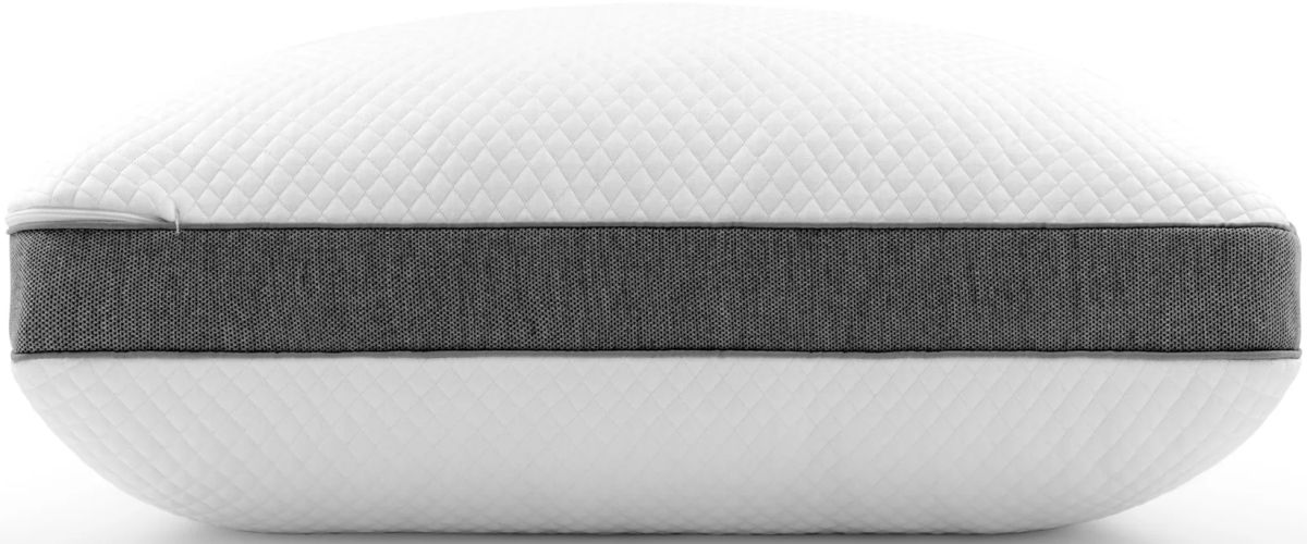 Beautyrest absolute rest pillow hotsell