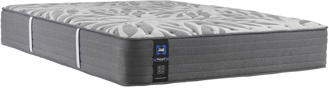 Sealy posturepedic plus opportune ii discount